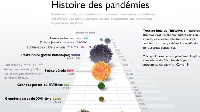 histoire_des_pandémies-scaled.jpg